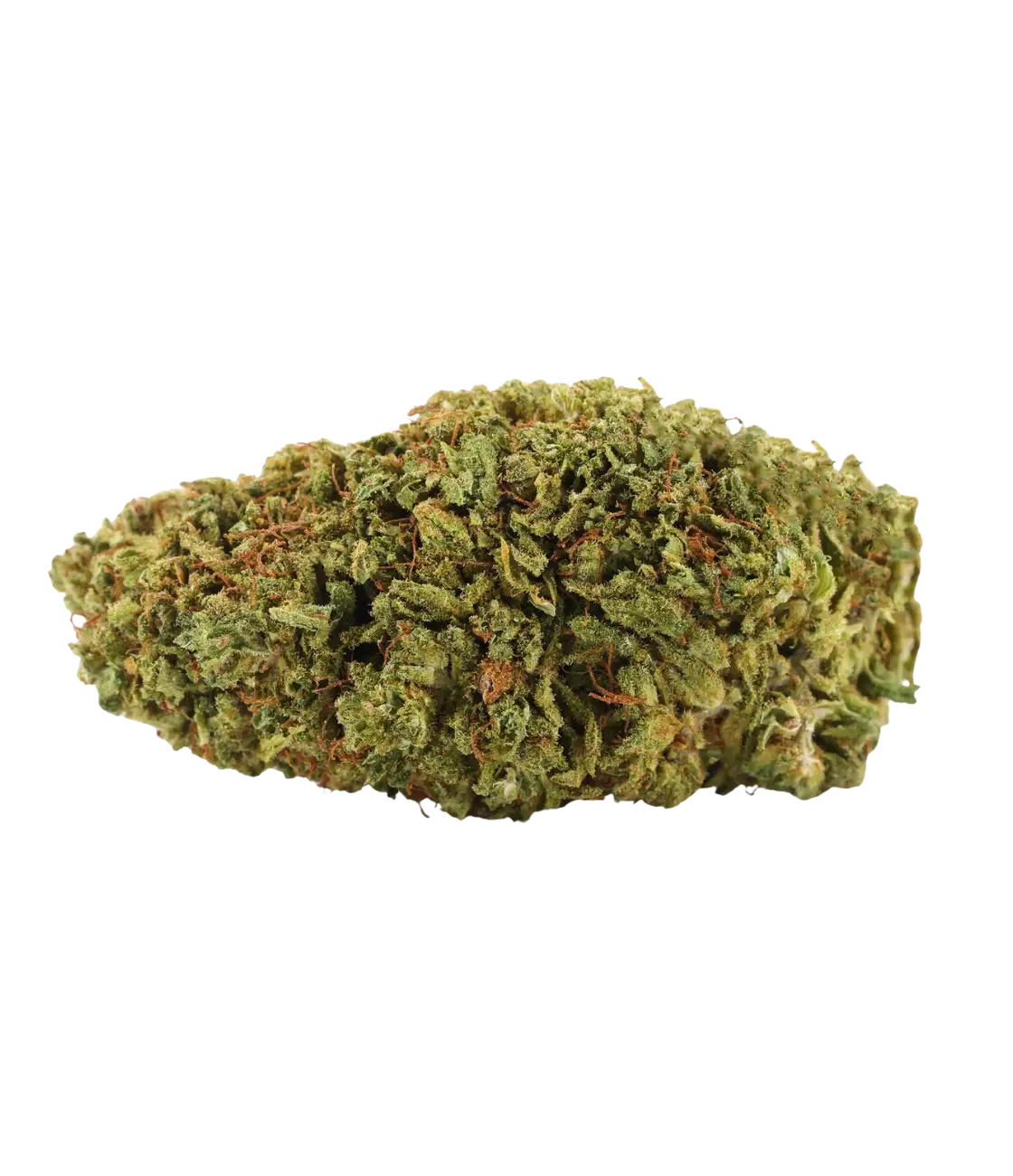Fleur de CBD Sour Diesel indoor — HIGHWEED