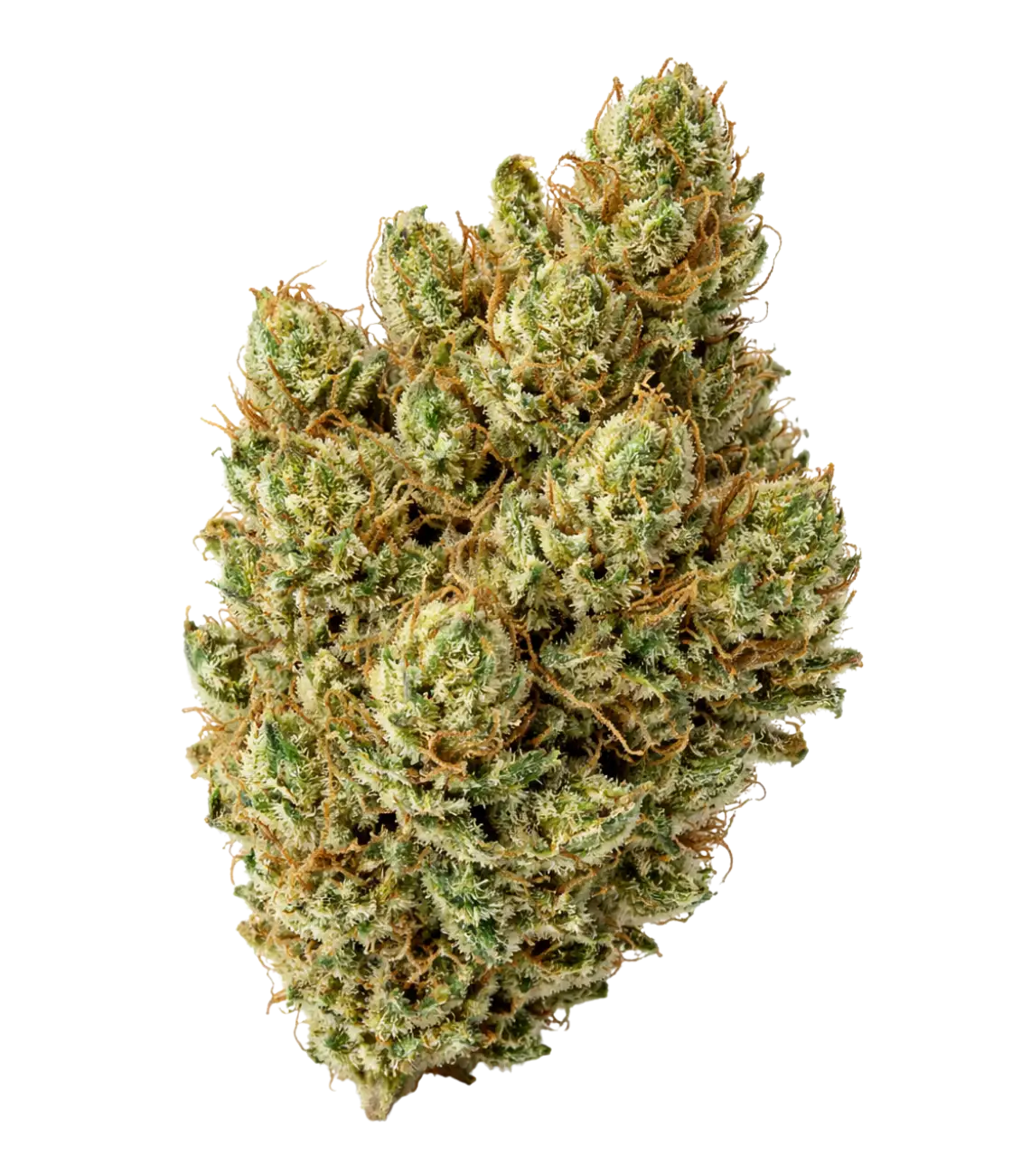 Fleur de CBD Super Silver Haze — HIGHWEED