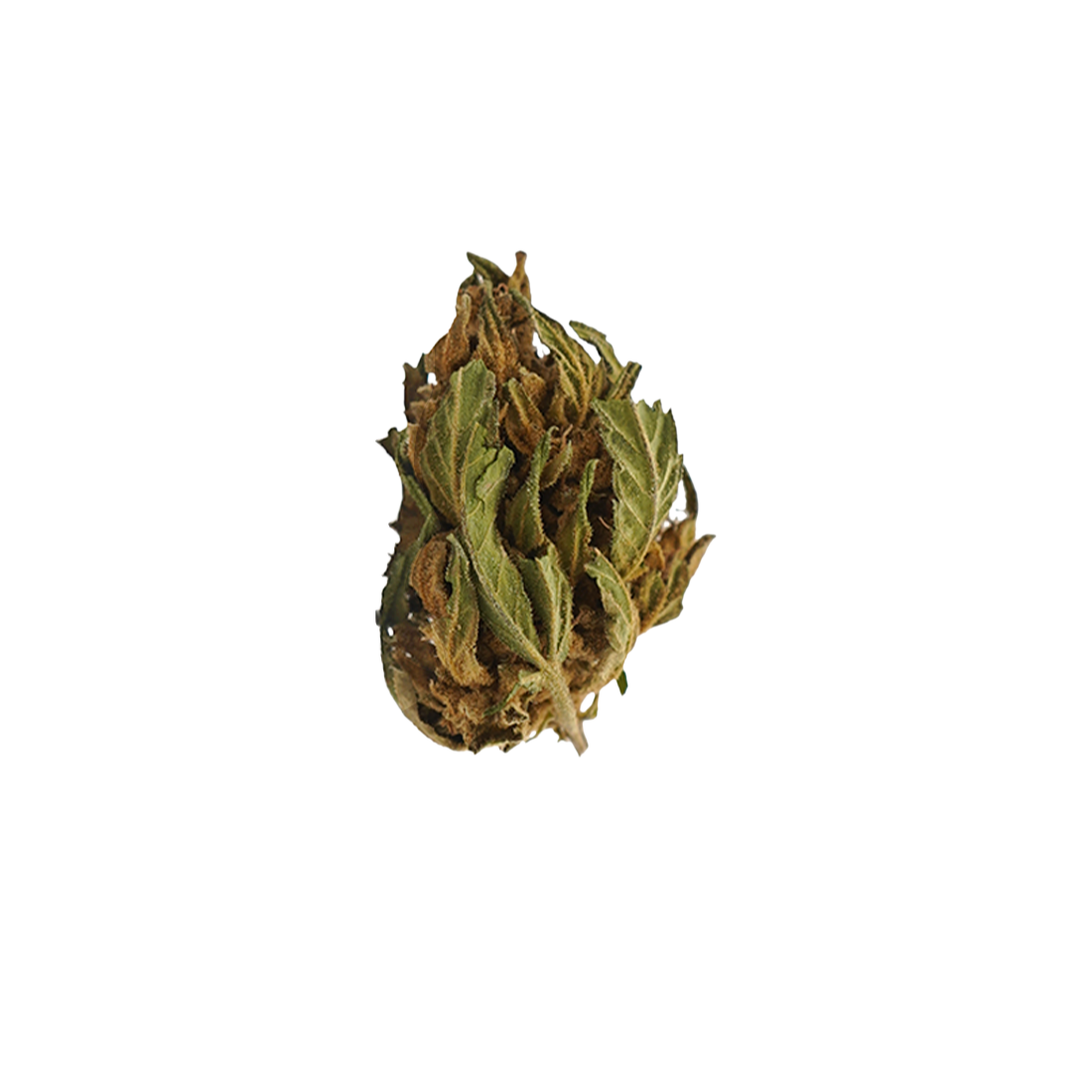 🎁 Banana CBG Small Buds (100% off)
