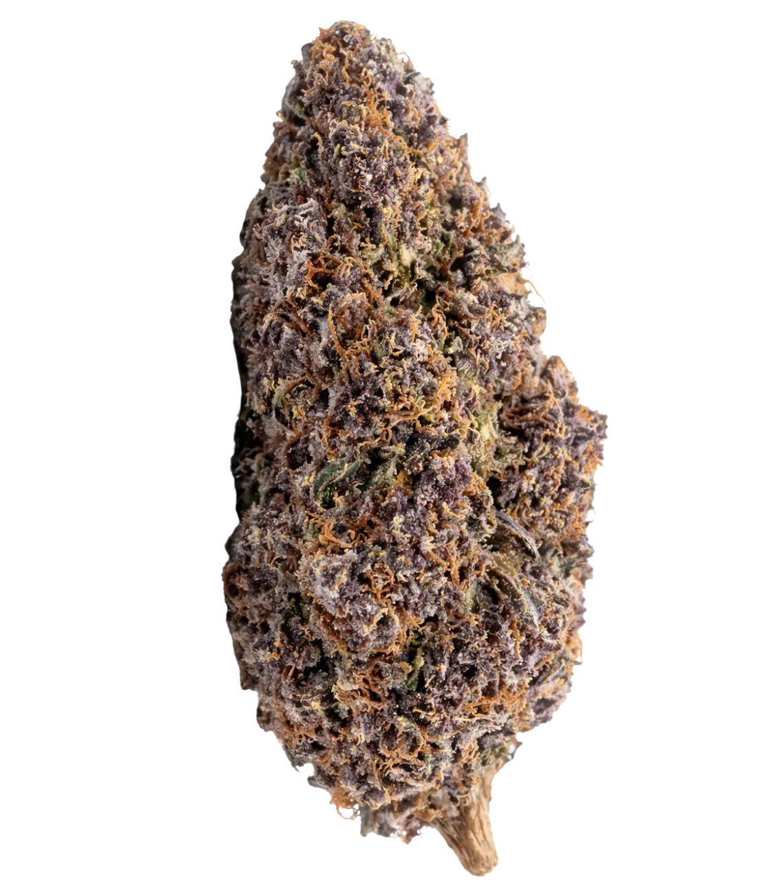 Fleur de CBD Bubba Kush indoor — HIGHWEED