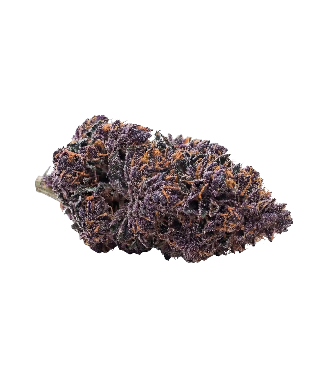 Fleur de CBD Blueberry Kush — HIGHWEED