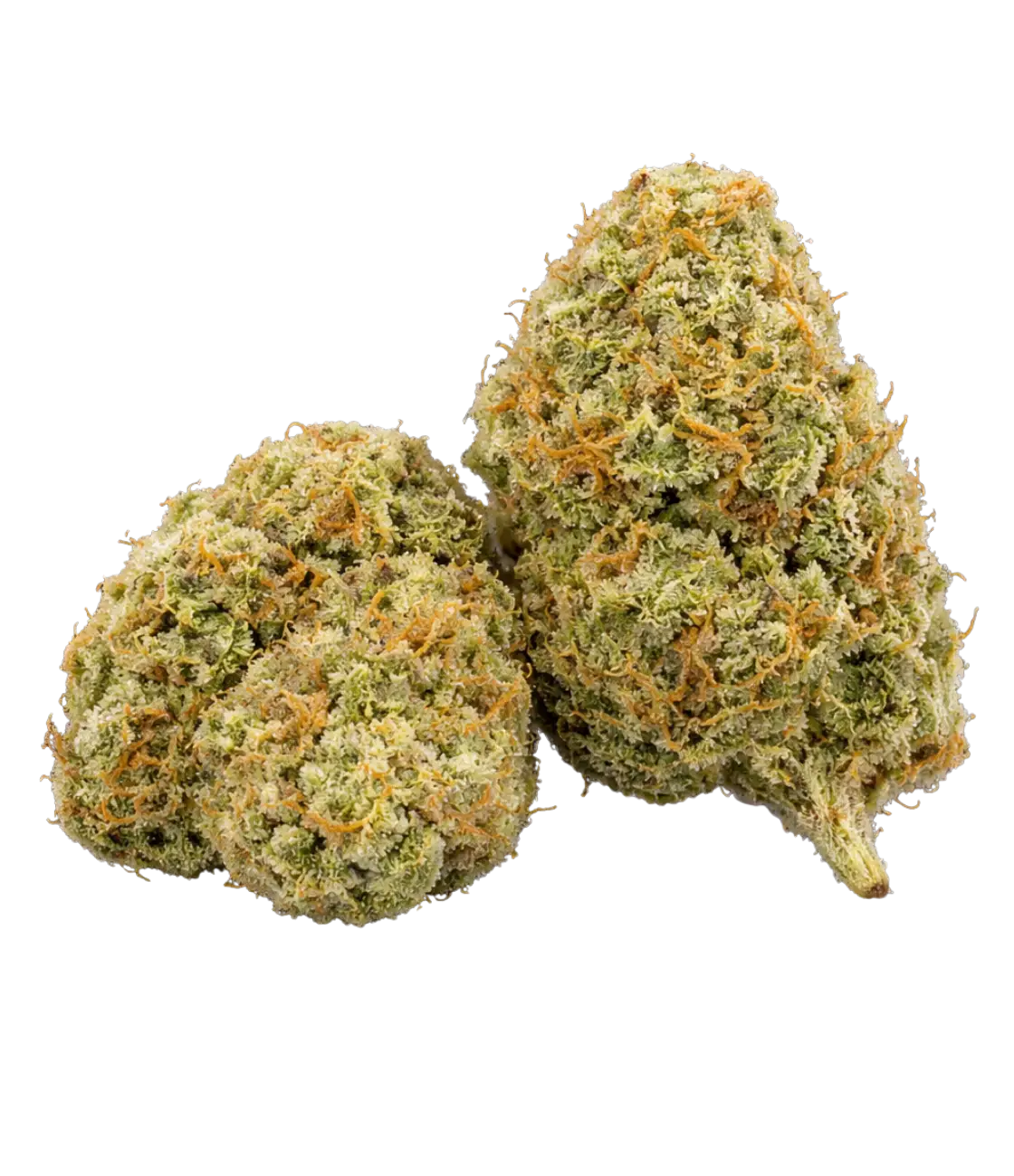 Fleur de CBD Auto Skunk US — HIGHWEED
