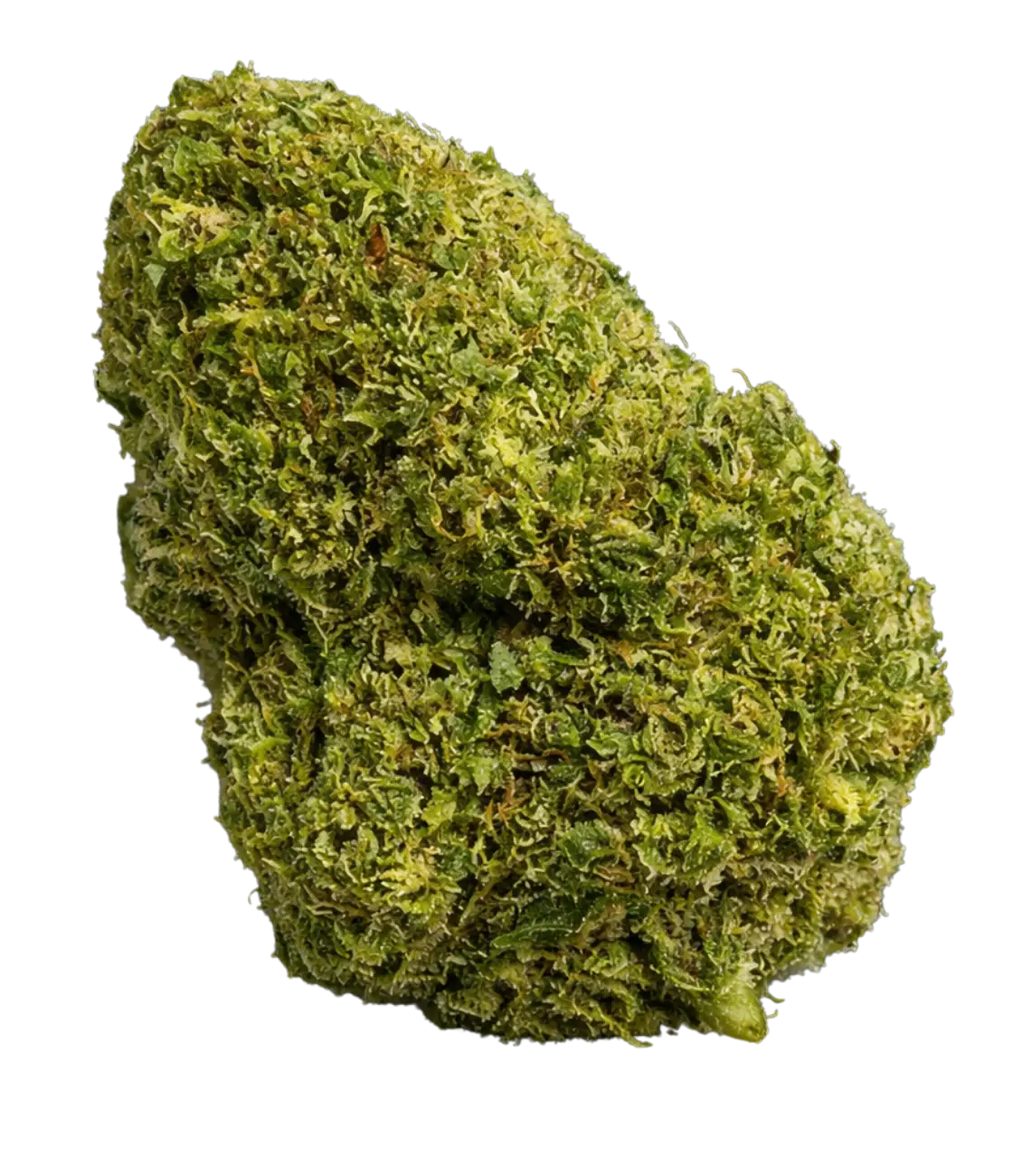Fleur de CBD M-AC US greenhouse — HIGHWEED
