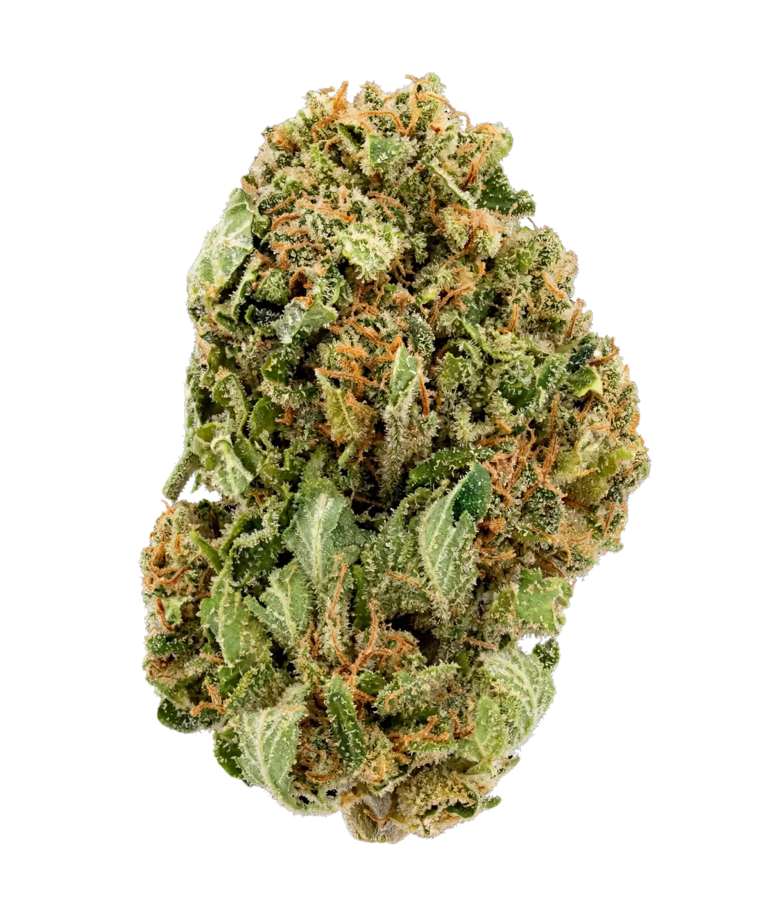 Fleur de CBD Cannatonic indoor — HIGHWEED