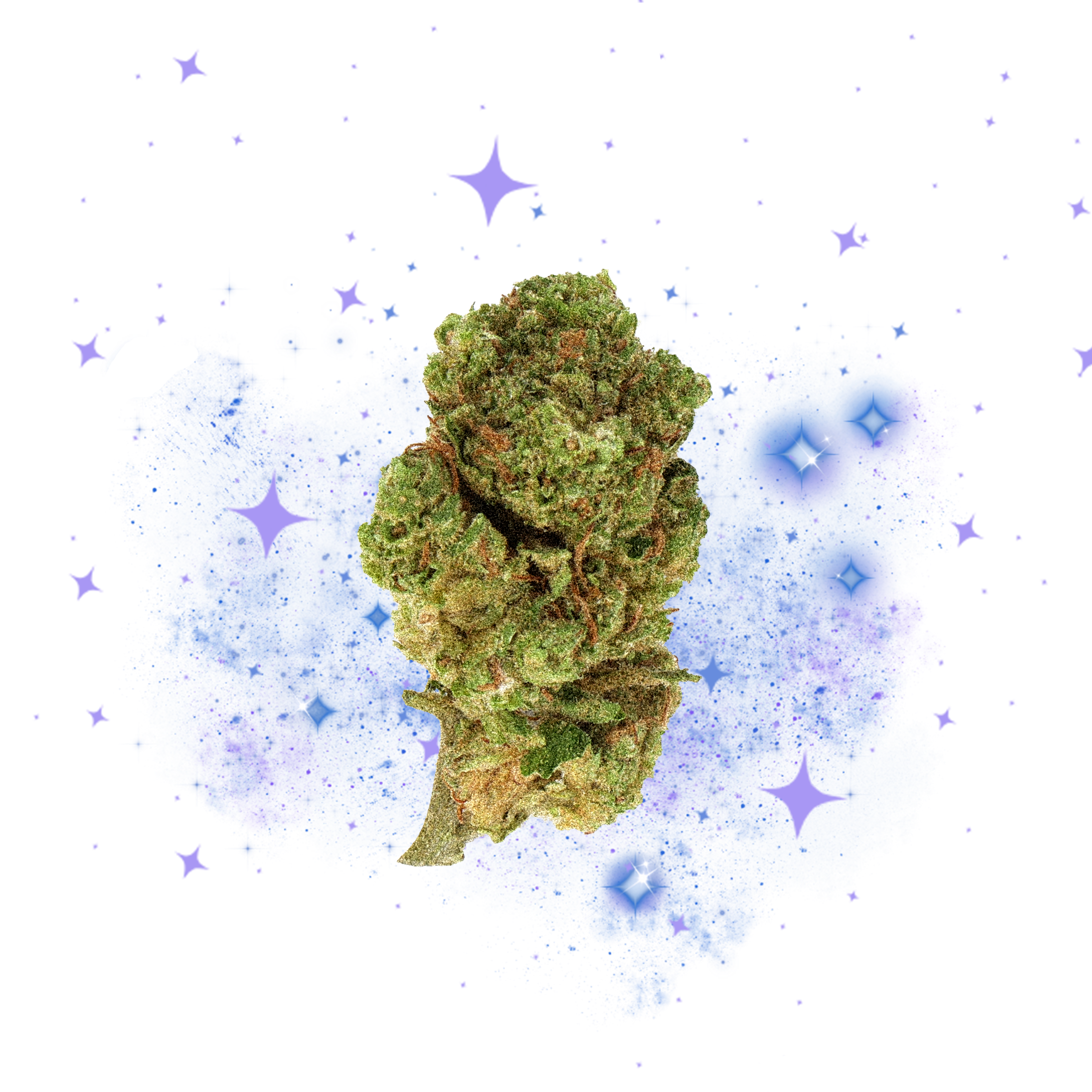 Hawaiian CBD Small Buds