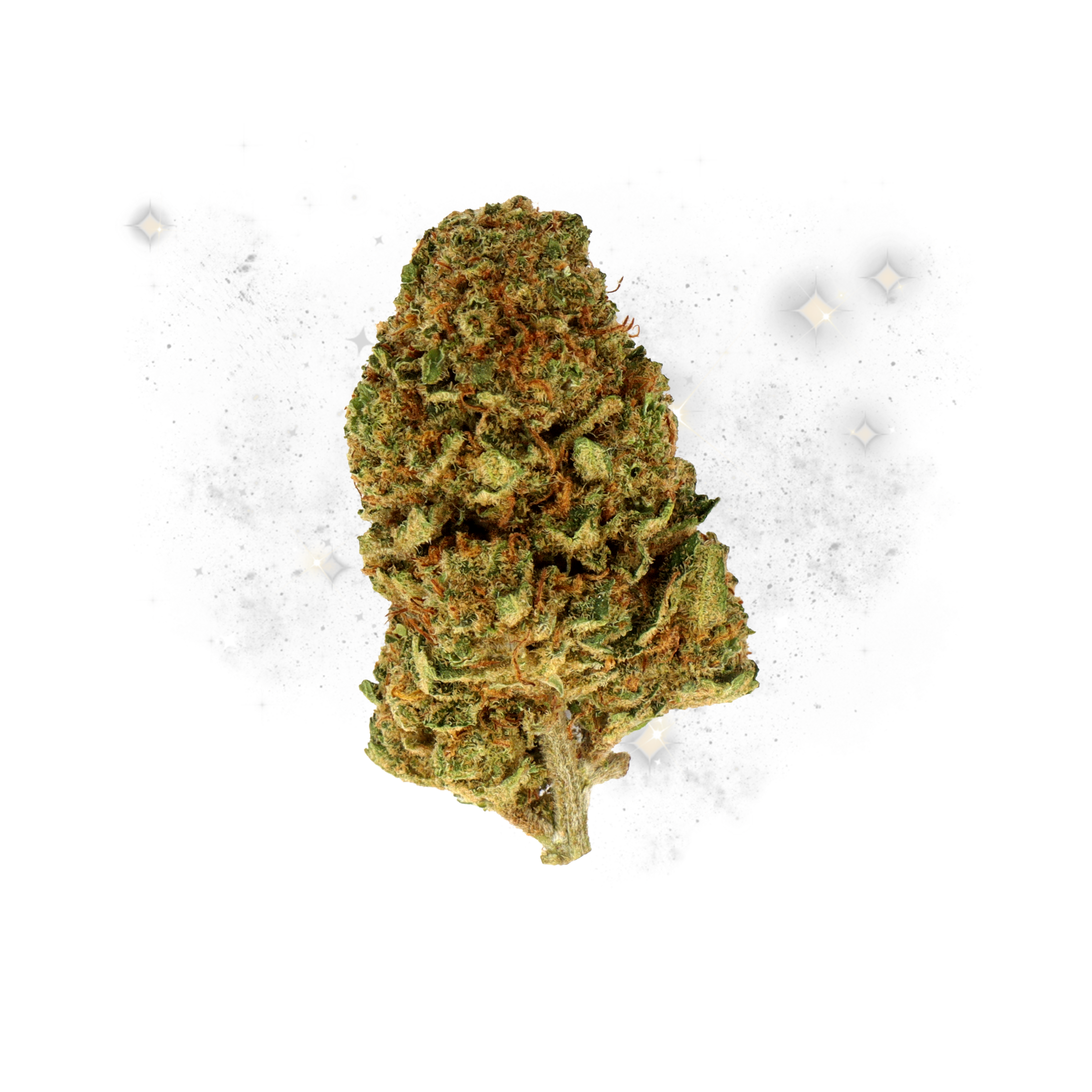White Widow CBD Small Buds