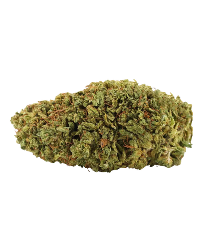 Fleur de CBD Sour Diesel indoor — HIGHWEED