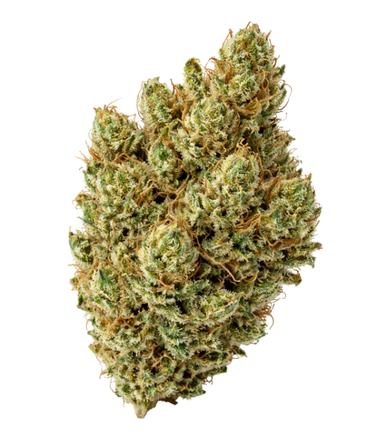 Fleur de CBD Super Silver Haze — HIGHWEED