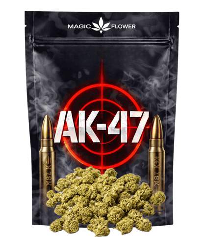 Fleur de CBD AK-47 greenhouse — HIGHWEED