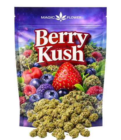 Fleur de CBD Kush Berry indoor — HIGHWEED