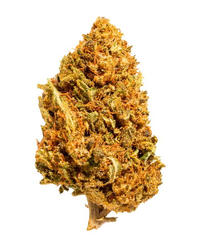 Pack Classique — pack découverte CBD HIGHWEED (photo 6)