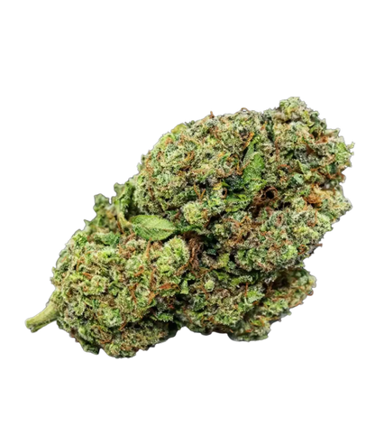 Fleur de CBD Banana Runtz — HIGHWEED
