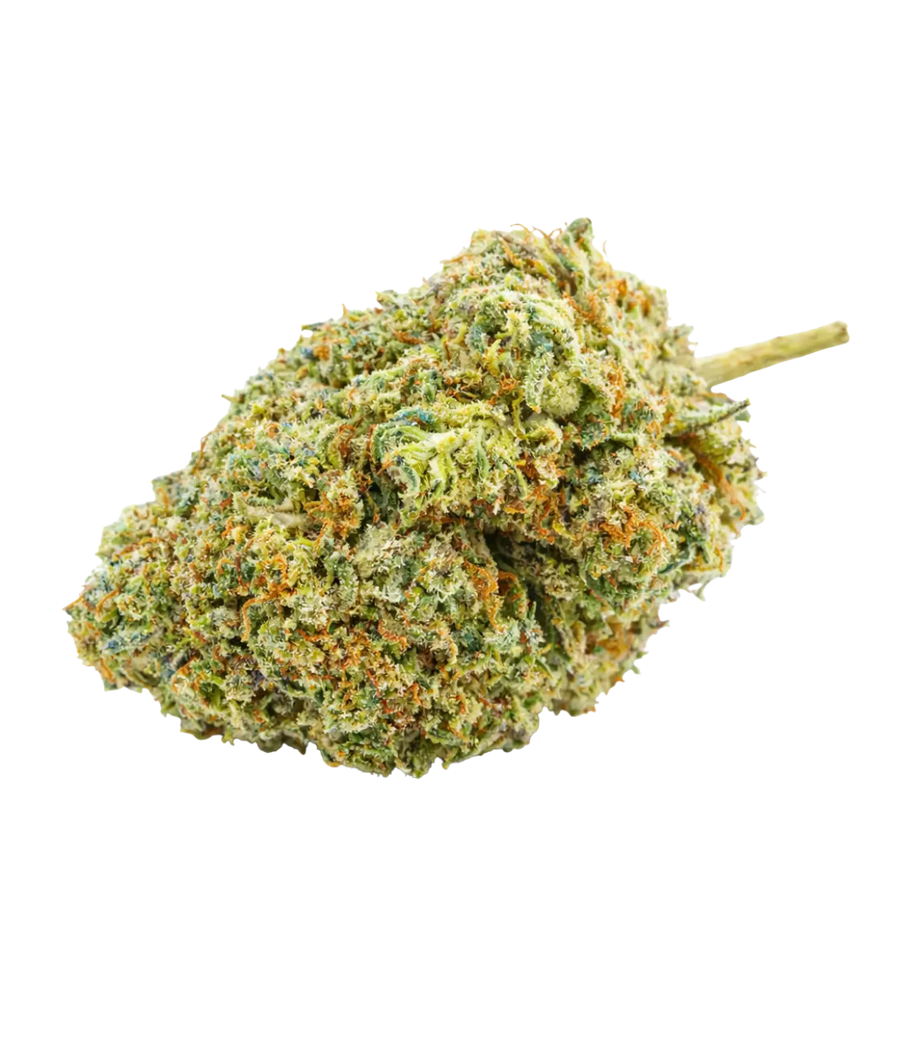 Blue Cheese 💙 💙 💙