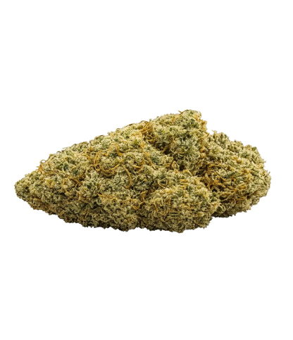 Fleur de CBD Fruit Cake indoor — HIGHWEED