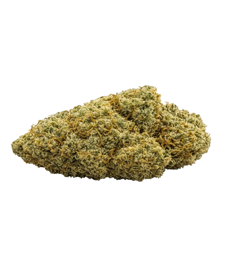 Fruit Cake 🍰 🍰 🍰