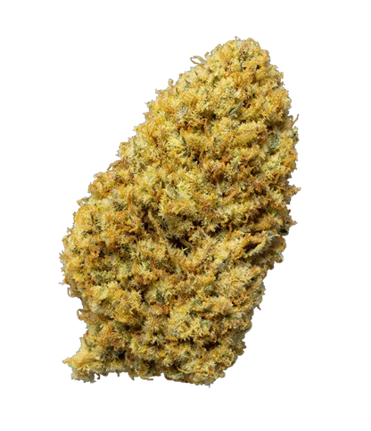 Fleur de CBD Amnesia Haze — HIGHWEED