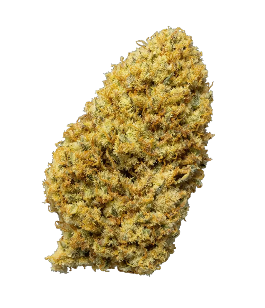 🎁 Amnesia Haze ✨ ✨ ✨ (100% off)