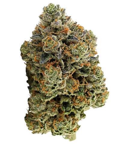 Fleur de CBD Gorilla Runtz indoor — HIGHWEED