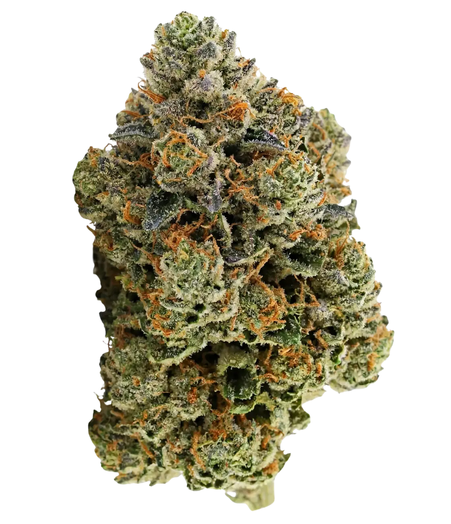 🎁 Gorilla Runtz 🦍 🦍 🦍 (100% off)