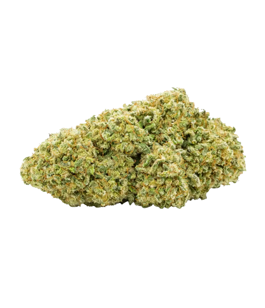 Bruce Banner 💪  💪  💪