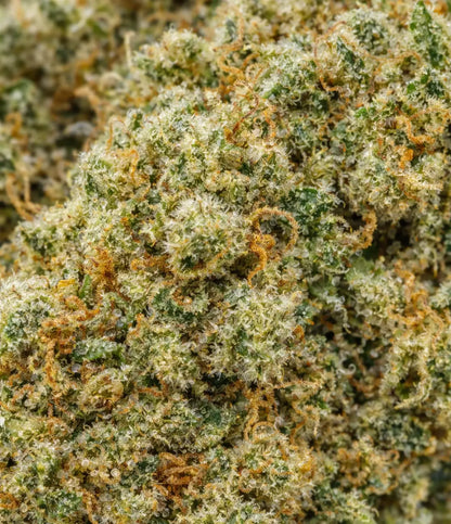 Bruce Banner CBD en gros plan — fruités, terreux