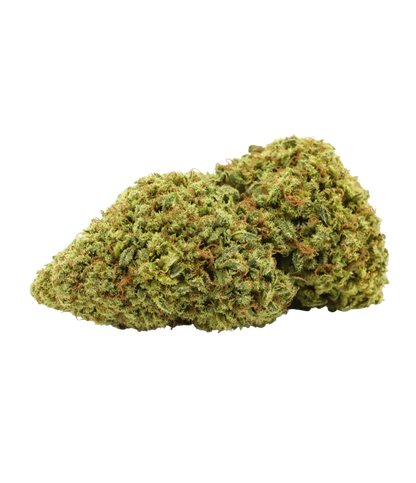 Fleur de CBD White Widow — HIGHWEED