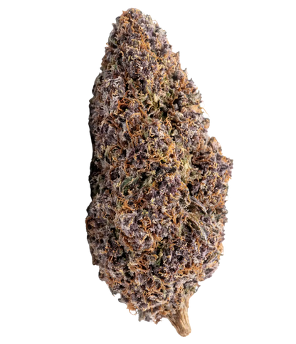 Fleur de CBD Bubba Kush indoor — HIGHWEED