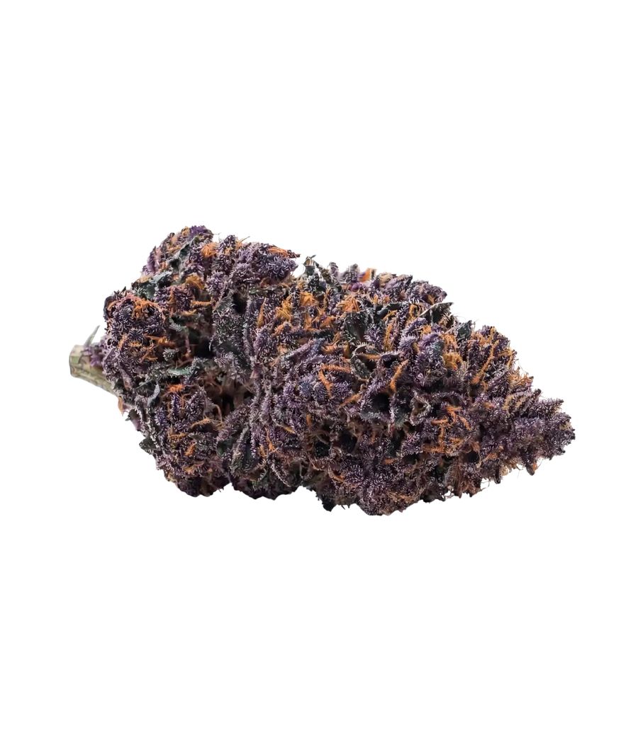 Blueberry Kush 🫐 🫐 🫐