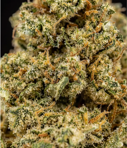Strawberry Banana CBD en gros plan — – Fraise mûre, banane sucrée
