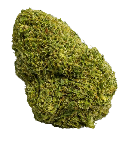 Fleur de CBD M-AC US greenhouse — HIGHWEED